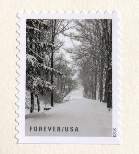 100 Winter Forest Forever Stamps Holiday Woods in Snow Postage Stamps for Mailing